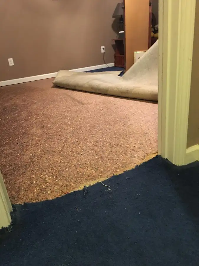 Carpet pad removal revealing water damage during Water Mitigation Services in Bridgewater Town