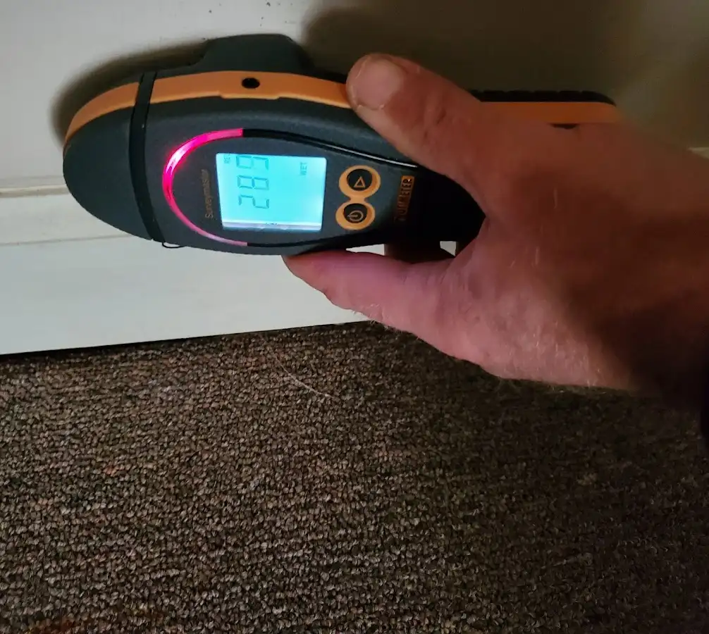 Moisture detection at baseboard during Sewage Cleanup & Sanitation in Bridgewater Town
